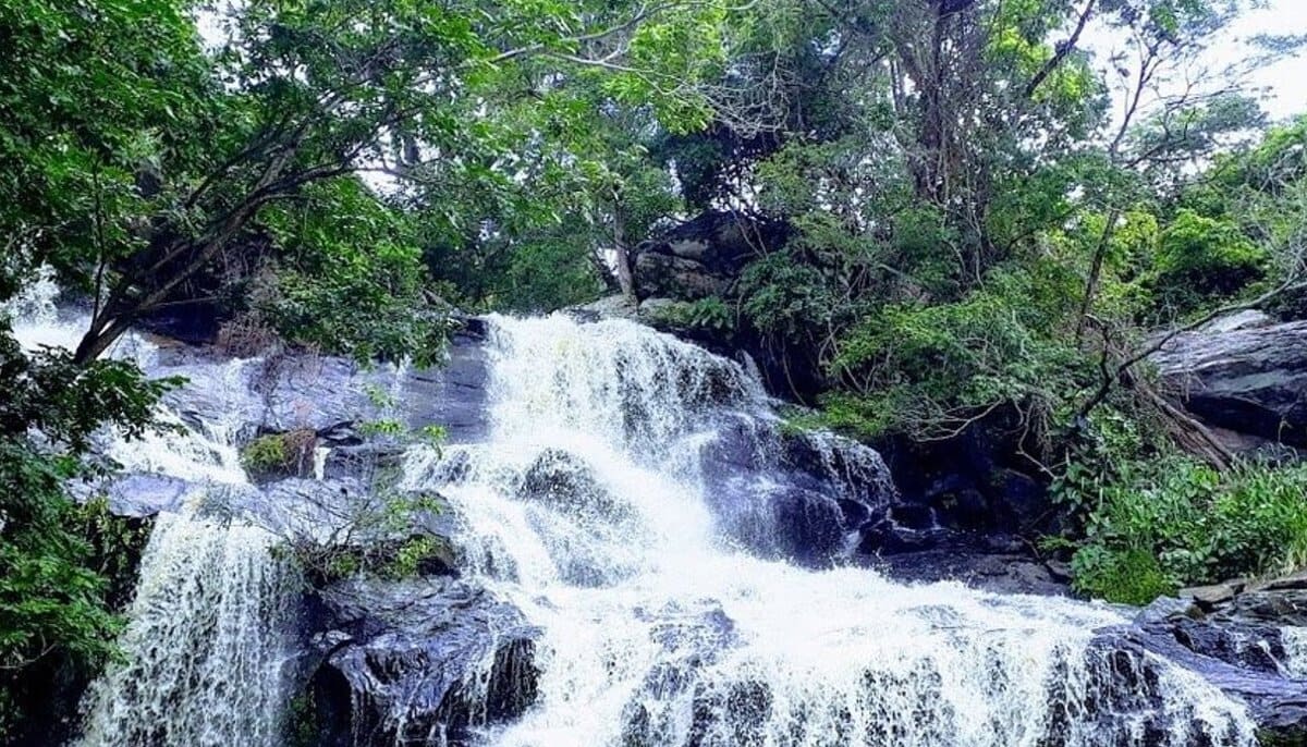 Rio Bonito: O Paraíso do Ecoturismo no Brasil